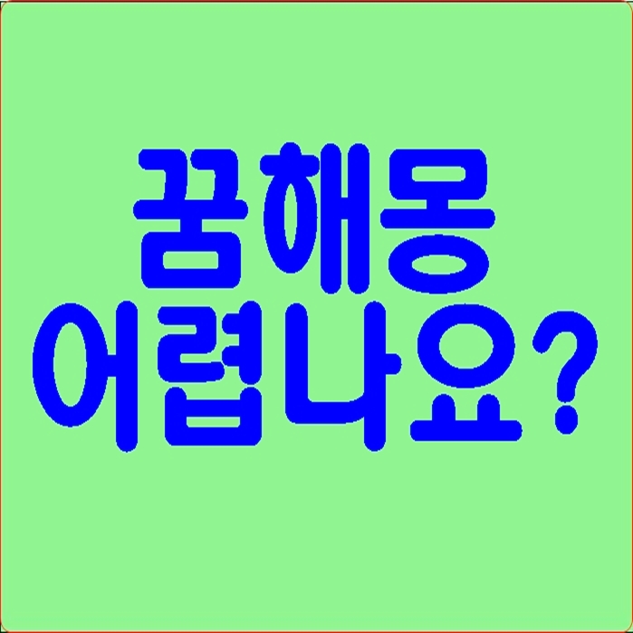  꿈해몽 잘 하시는분?