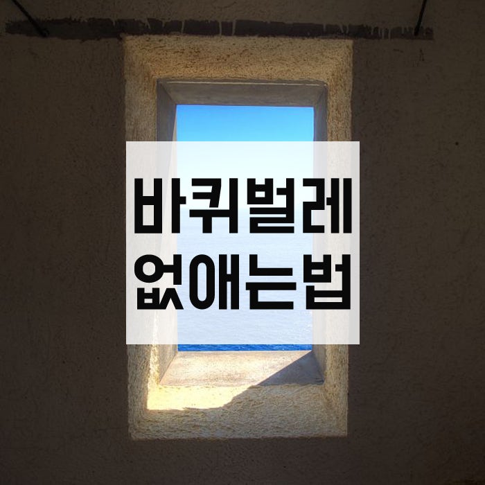 바퀴벌레없애는법,바퀴벌레가 싫어하는 것