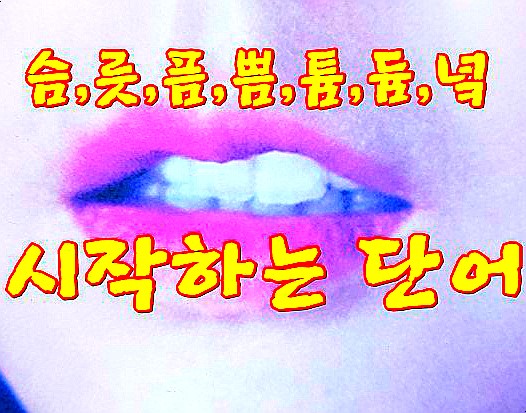  끝말잇기, 쁨 역 윰 튬 름 즈 섯 톤 슴 으로 시작하는 단어 