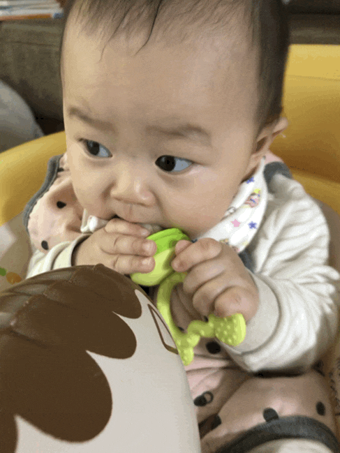  생후 220일 소고기콜리플라워2일차