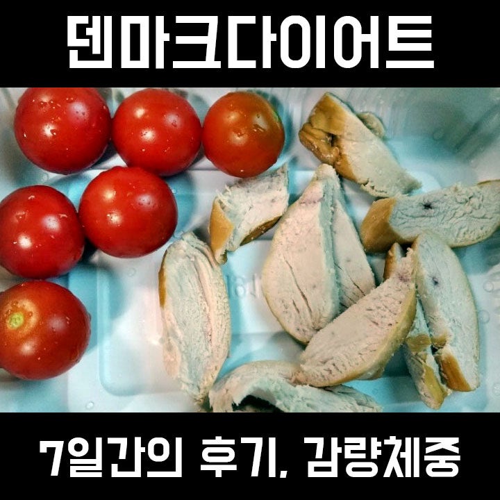 덴마크다이어트 7일 후기 체중감량 효과는 ?