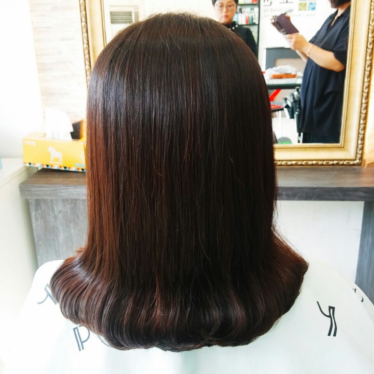  [제주시 도남동] 두피케어, 탈모방지, 손상모복구(천연헤나) 전문샵~제주도민할인정보 공유합니다.