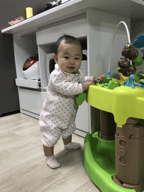  생후 222일 쏘서가 위고인줄 ㅋ/닭고기미음1일차
