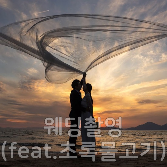 창원 웨딩촬영 :: 초록물고기 - 야외촬영은 역시 초록이가 짱!!(feat. 어추어추)