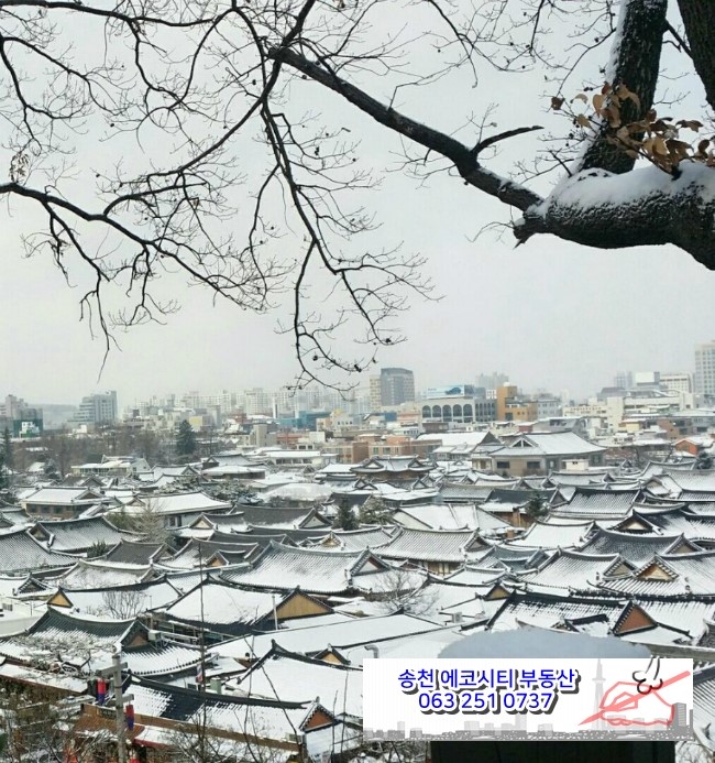  전주 에코시티 데시앙 5블록의 핵심  단지 상가의  임차인 구합니다