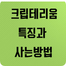  크립테리움 특징과 사는방법(ICO)