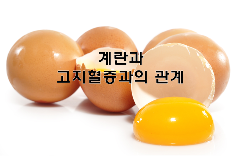 고지혈증, 이상지질혈증 진단 후 콜레스테롤 관리 기록