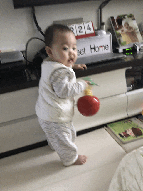  생후 224일아기 힙시트앉았다/ 닭고기미음3일차