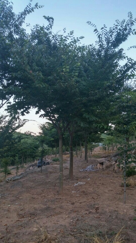 구름위의산책농원 사진 6