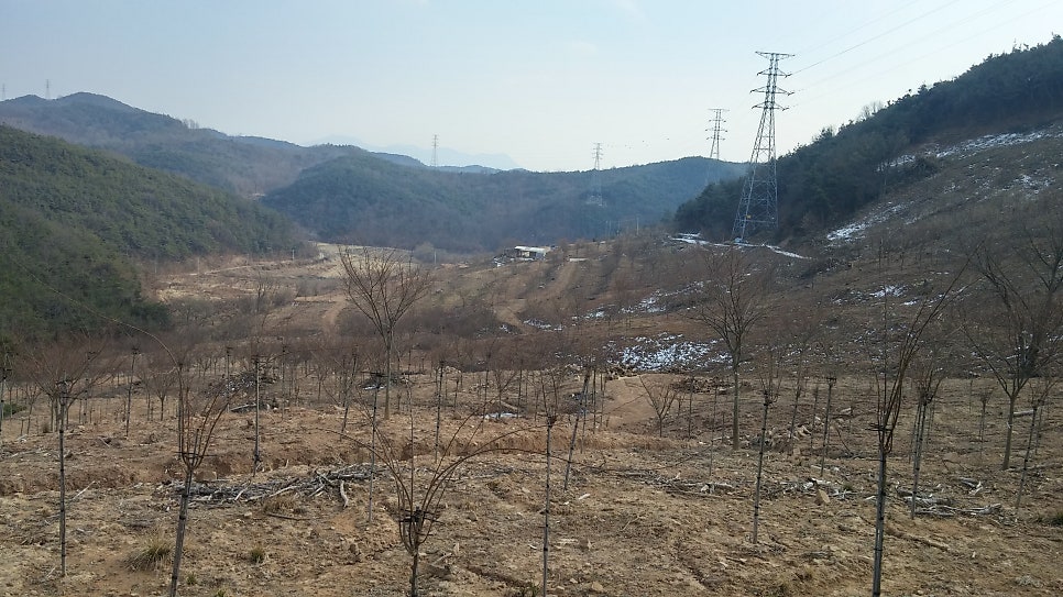 구름위의산책농원 사진 3