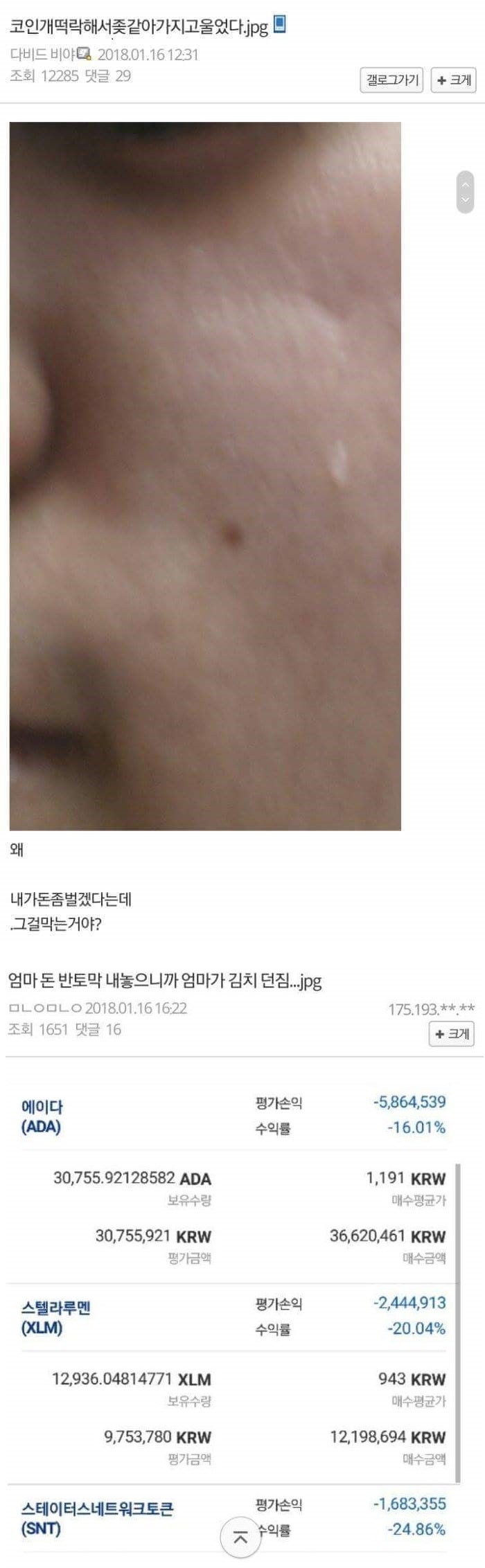 향후 가상화폐의 전망2 (+현재 비트코인 갤러리 상황) : 네이버 블로그