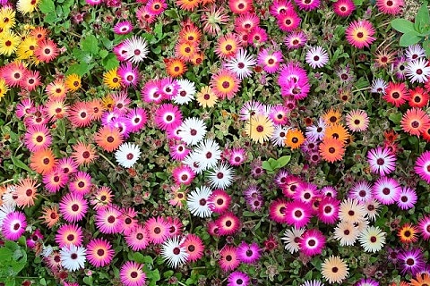 오늘한잔 이미지