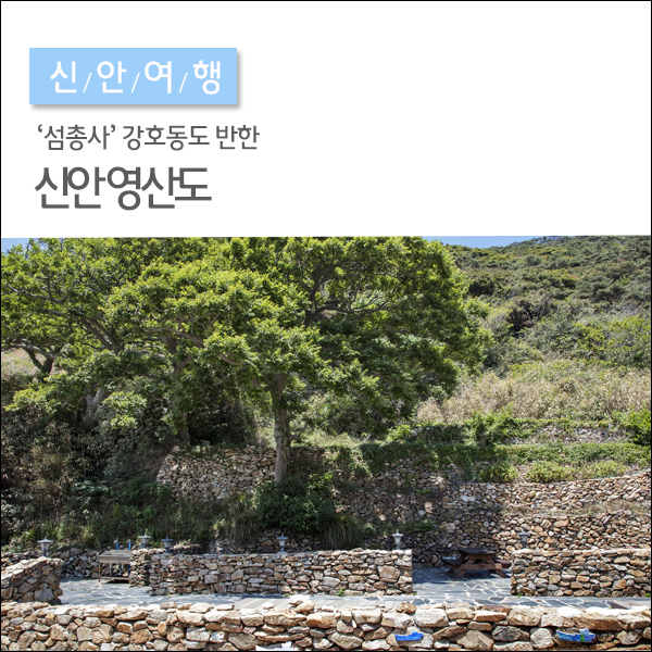  섬총사도 반한 신안 영산도