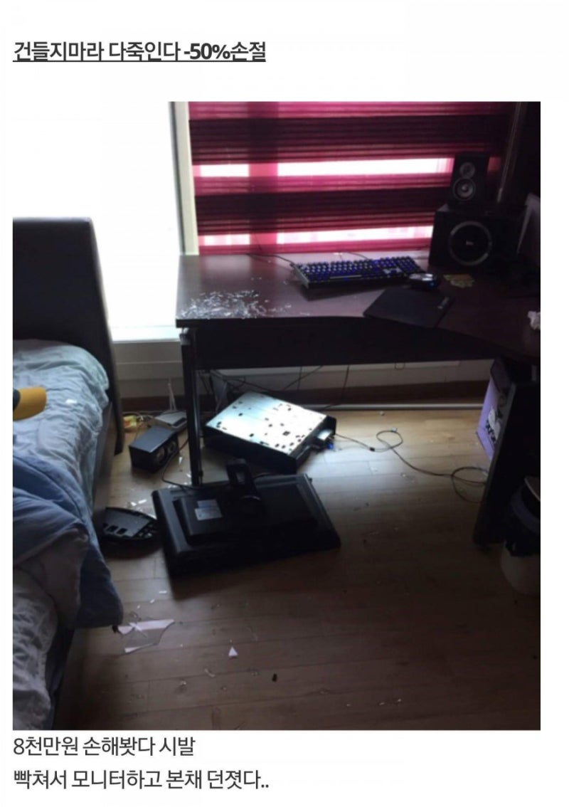 비트코인 투자자들 근황 : 네이버 블로그