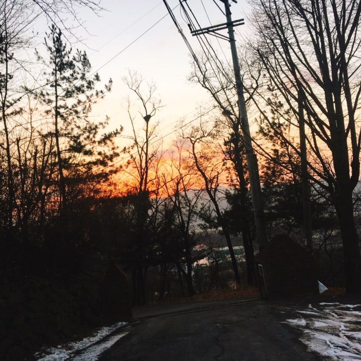  최근 가장 행복했던 순간