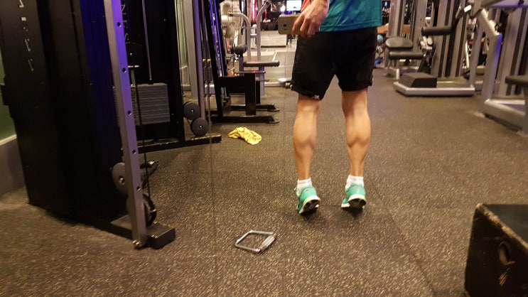  :: 거북이 달린다 :: 체험 삶의 현장