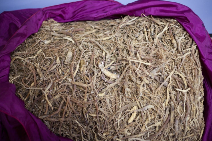 용안인삼밭에서 재배수확하고 만든 홍삼 말린홍삼
