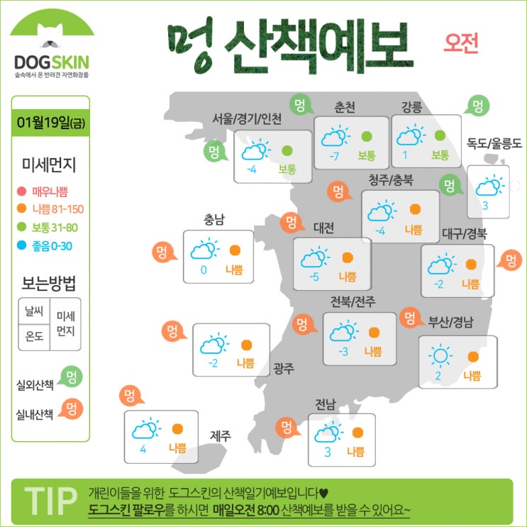  [멍산책예보]오늘 오랜만에 개린이들 산책시켜도 되겠어요!!