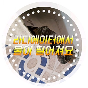 욕실 라디에이터에서 물이 떨어져요