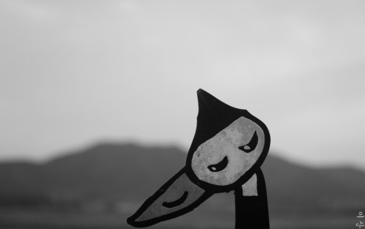  한장 57장