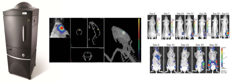 IVIS® Spectrum In Vivo Imaging System