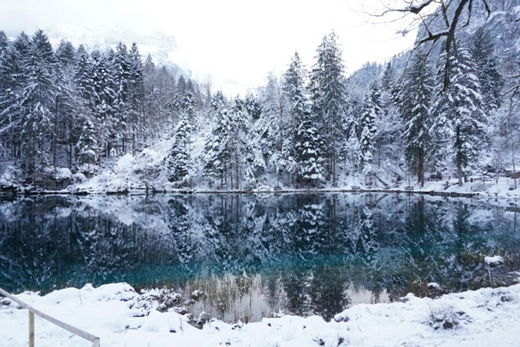 겨울유럽여행 #13 [인터라켄 근교 추천] 겨울 블라우제 호수 (+가는법)