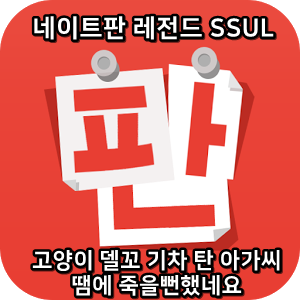  네이트판 레전드썰 :) 고양이 델꼬 기차 탄 아가씨 땜에 죽을뻔했네요