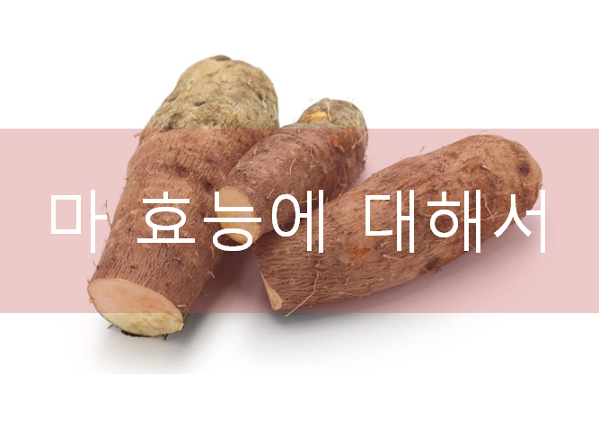 삼베 효능·삼베 효능·위염에 좋은 음식 2