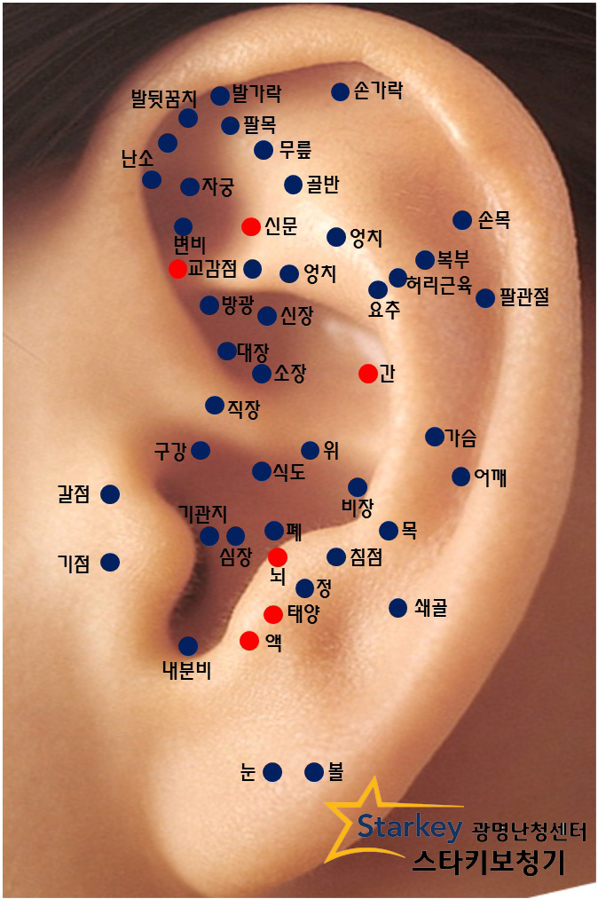  [광명보청기] 귀 혈자리 지압법