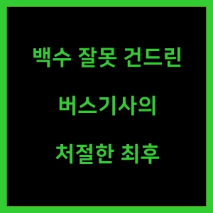  백수 잘못 건드린 버스기사의 처절한 최후
