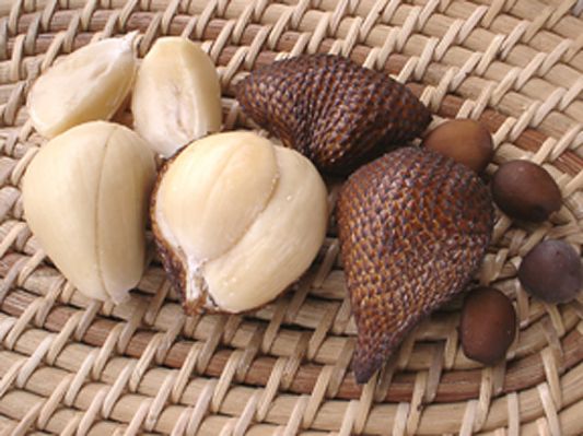  살라크 Salak