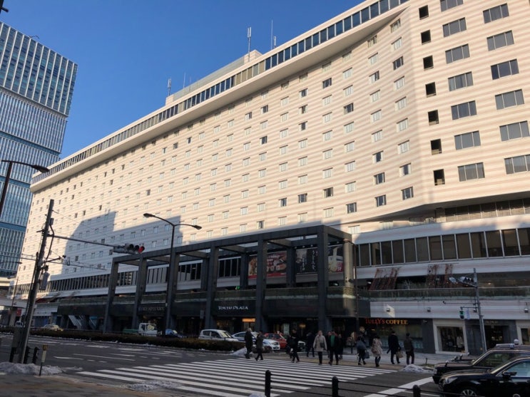 도쿄 아카사카 엑셀 호텔(Akasaka Excel Hotel Tokyo)