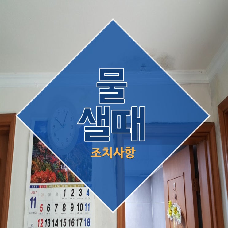  물샐때 조치사항