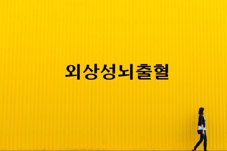  외상성뇌출혈 장해, 마비,대소변, 정신행동 후유장해!