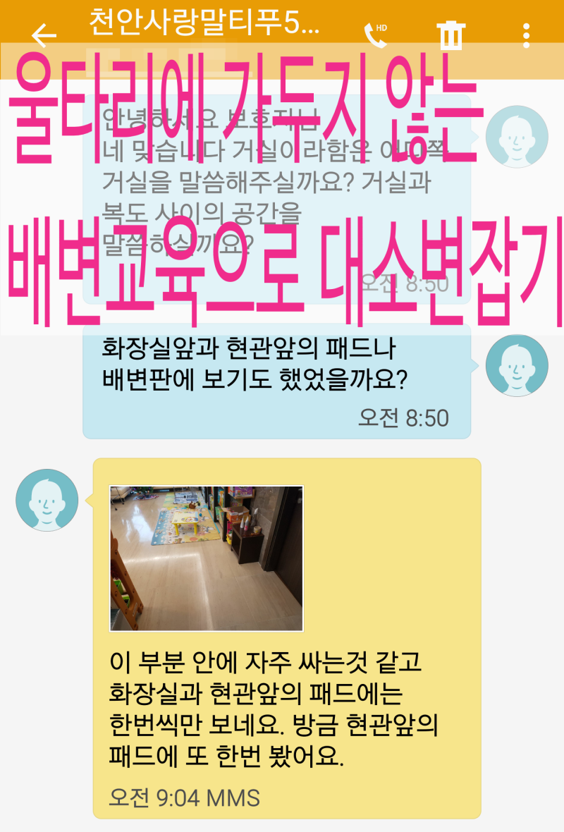 강아지 울타리 배변훈련방법) 울타리안에서 잘싸는데 울타리밖에서는 못가려요 : 네이버 블로그
