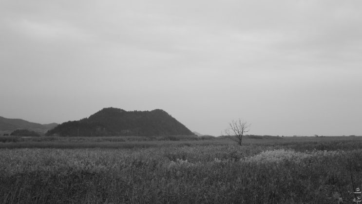  한장 61장