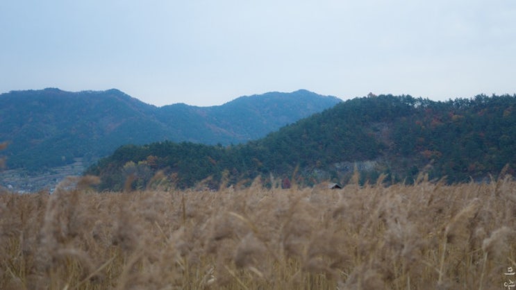  한장 63장