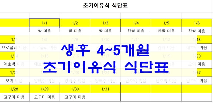  4~5개월 초기이유식 식단표 공유(엑셀파일)