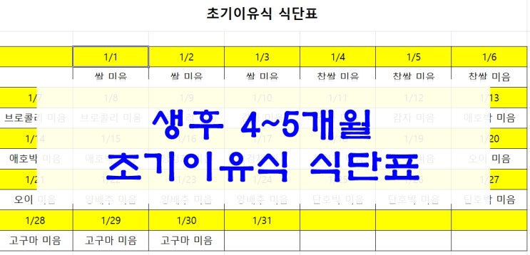 4~5개월 초기이유식 식단표 공유(엑셀파일)