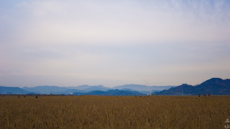  한장 64장