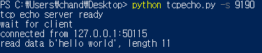 파이썬(Python) - TCP Echo Server / Client 소스 코드 및 설명 : 네이버 블로그