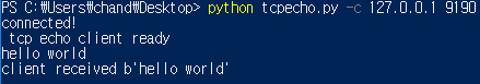 파이썬(Python) - TCP Echo Server / Client 소스 코드 및 설명 : 네이버 블로그