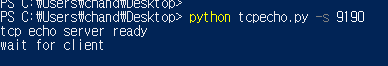 파이썬(Python) - TCP Echo Server / Client 소스 코드 및 설명 : 네이버 블로그