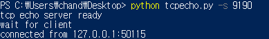 파이썬(Python) - TCP Echo Server / Client 소스 코드 및 설명 : 네이버 블로그