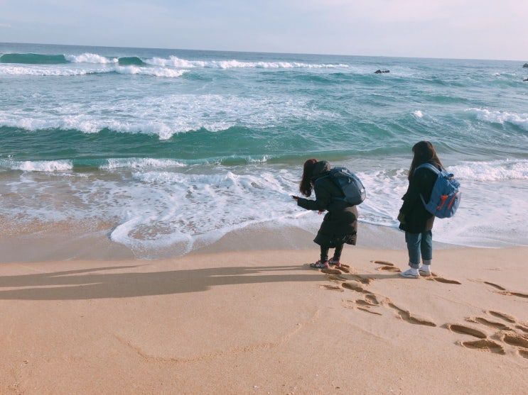  강원도여행_강릉여행/정동진여행/묵호항/강릉볼거리/동해놀거리/강릉가볼만한곳/동해가볼만한곳