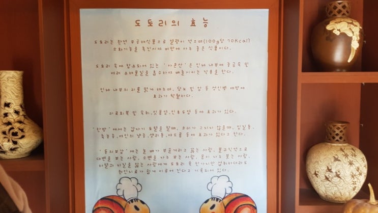  [경기 용인] 깊은 산 속 다람쥐