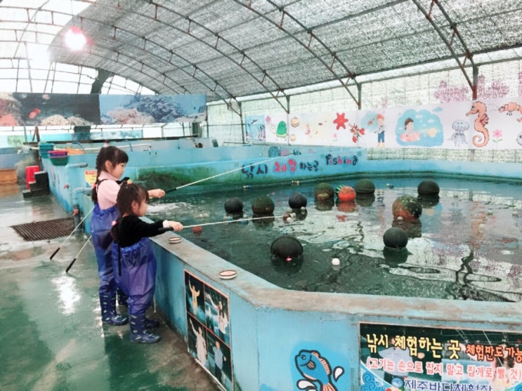 제주도 실내관광지 제주바다체험장 상어도 있음!