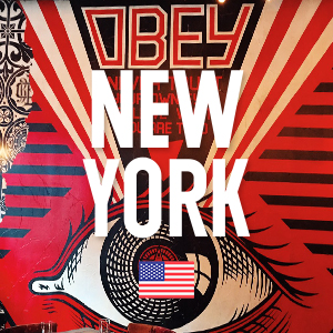  New york_09