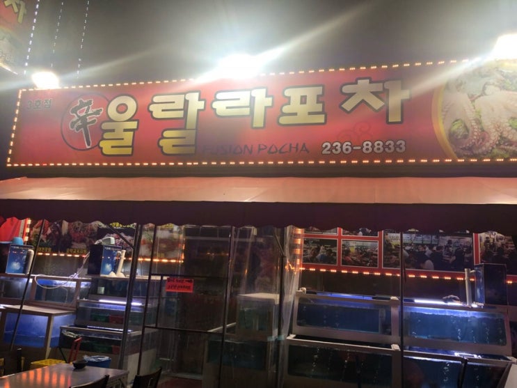  수원 세류동 연포탕 맛집 진짜맛집 강추 울랄라 포차