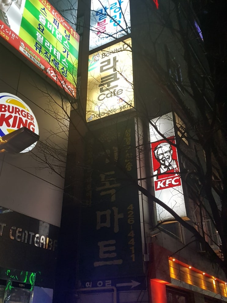  대구 동성로 실내데이트 보니타디 라쿤카페 동물카페